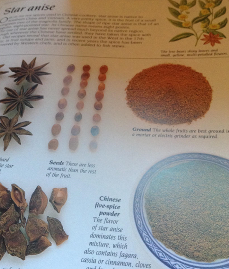 Essential Oil Uses Star Anise